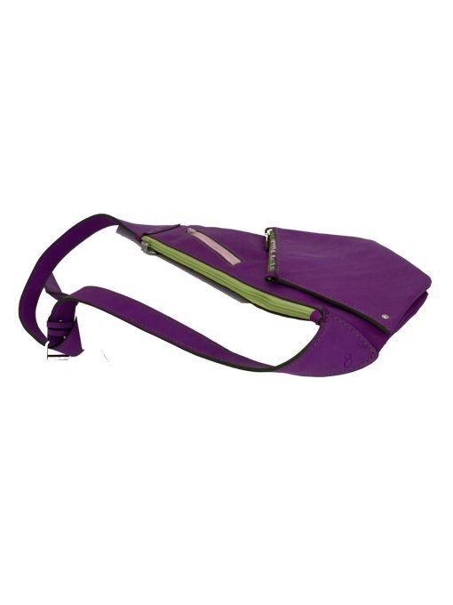 Sac Holster